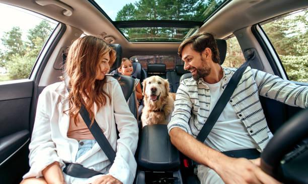 Des vacances inoubliables pour toute la famille, y compris les animaux de compagnie