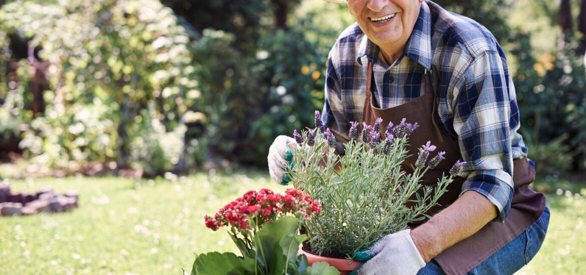 Le jardinage : une activité thérapeutique pour les seniors