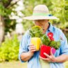 Les conseils pour démarrer un jardin après sa retraite