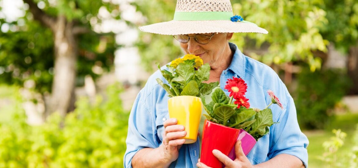 Les conseils pour démarrer un jardin après sa retraite